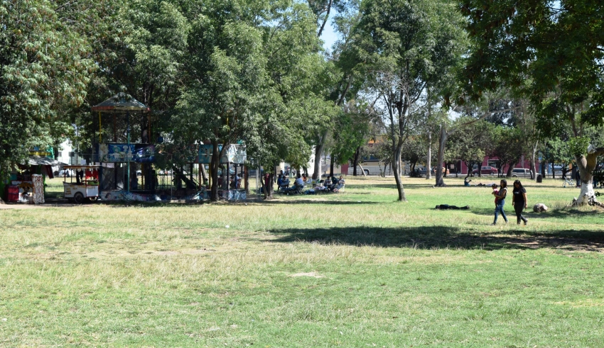 areas verdes Apostarán por áreas verdes con recursos endémicos en Tijuana