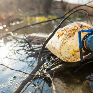 La economía del comportamiento: una herramienta clave para el cambio