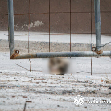 Encuentran cráneo humano cerca de un terreno baldío