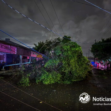 Ráfagas de viento dejan a oscuras y con graves daños a múltiples colonias de Tijuana