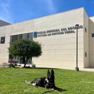 WhatsApp Image 2025-03-31 at 11.14.25 AM Acompaña Toñita a niña víctima de violencia en juzgado familiar de Ensenada