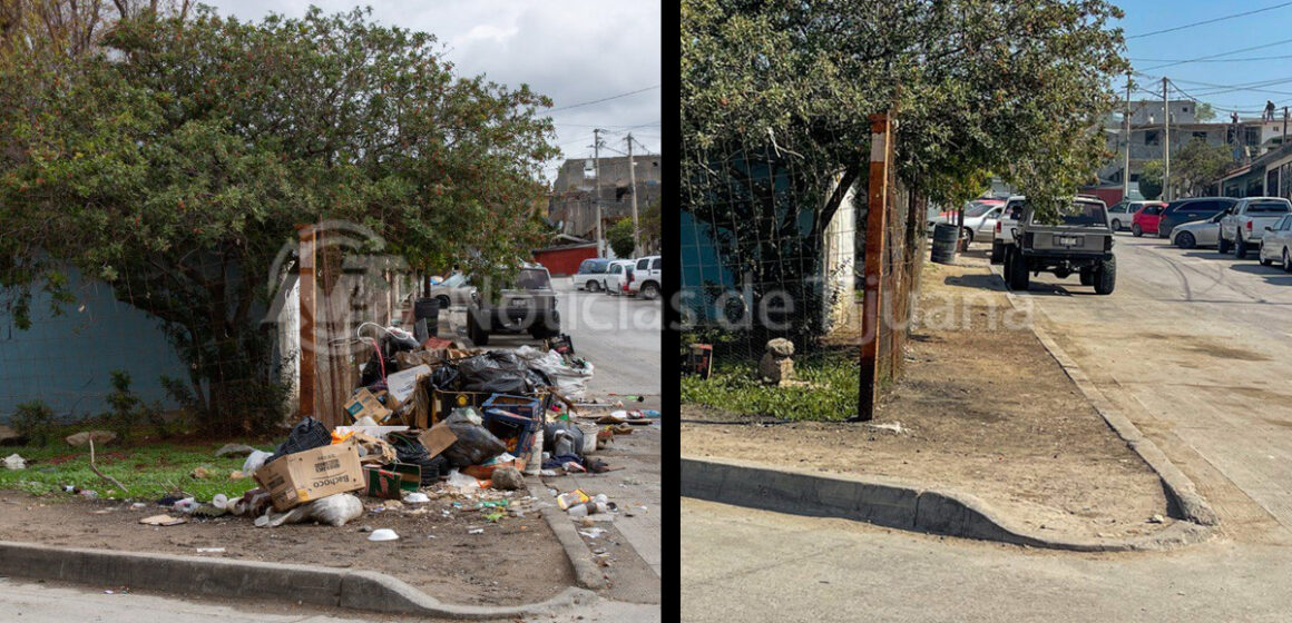 Ayuntamiento limpia zona denunciada como basurero clandestino en La Morita