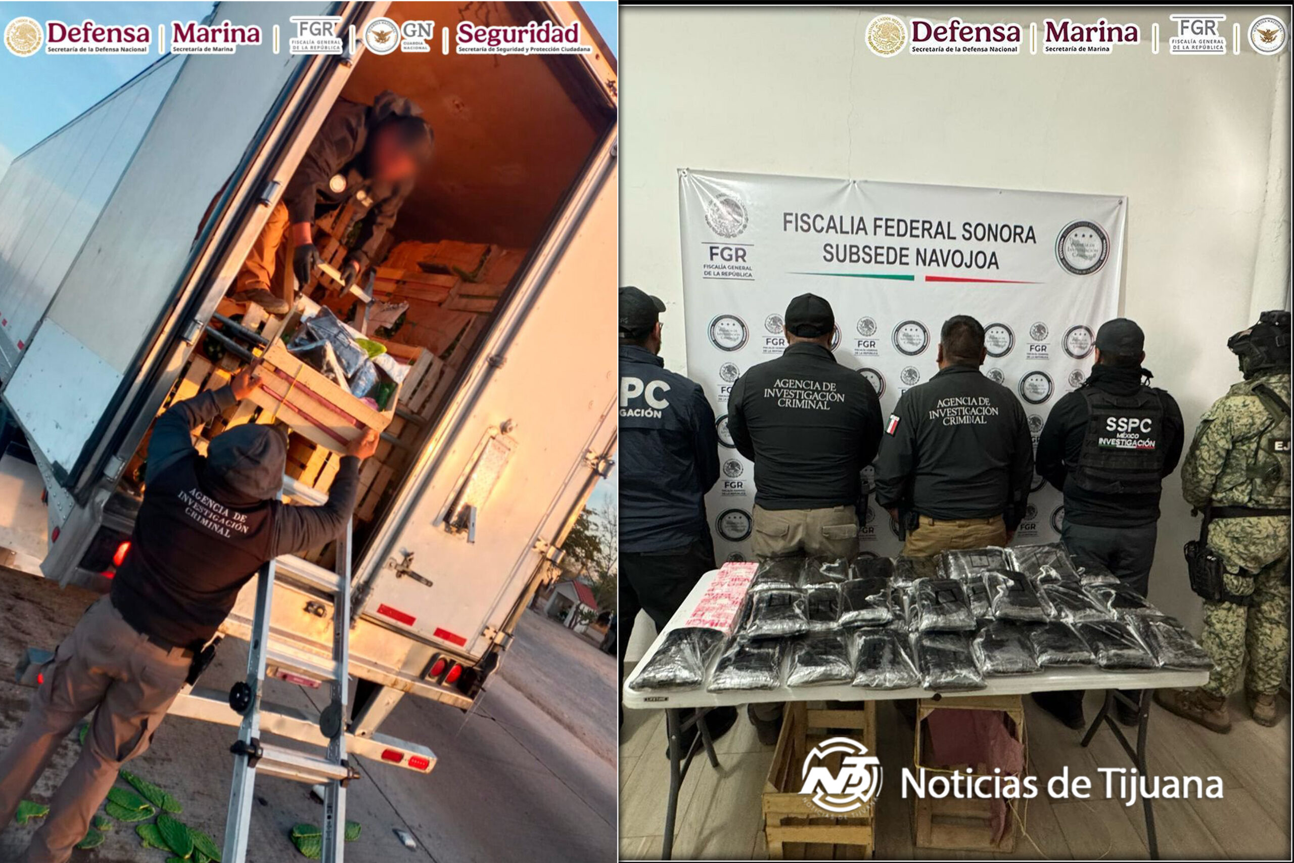 porta Detienen en Sonora a un hombre que transportaba 32 kilos de fentanilo ocultos en un cargamento de nopales