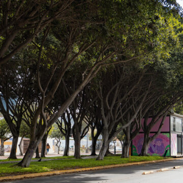 Promueve Ayuntamiento la adopción de áreas verdes para conservar el medio ambiente