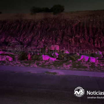 Vaca atropellada causa accidente en el bulevar 2000