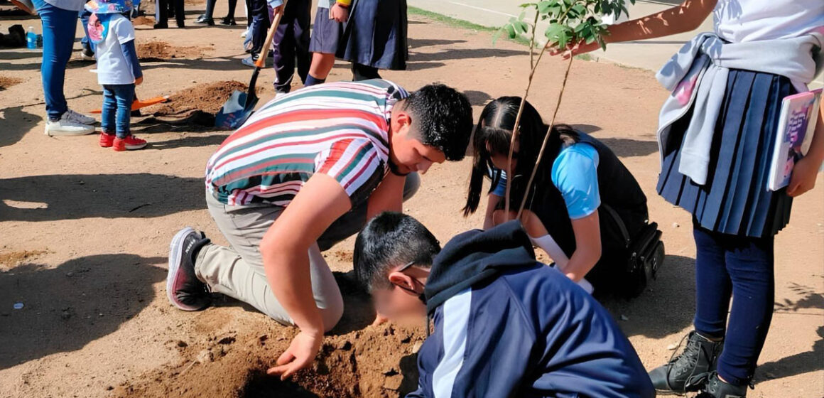 Ayuntamiento planta más de 160 árboles en la ciudad 