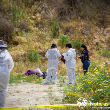Localizan cadáver envuelto en cobija en colonia Pedregal