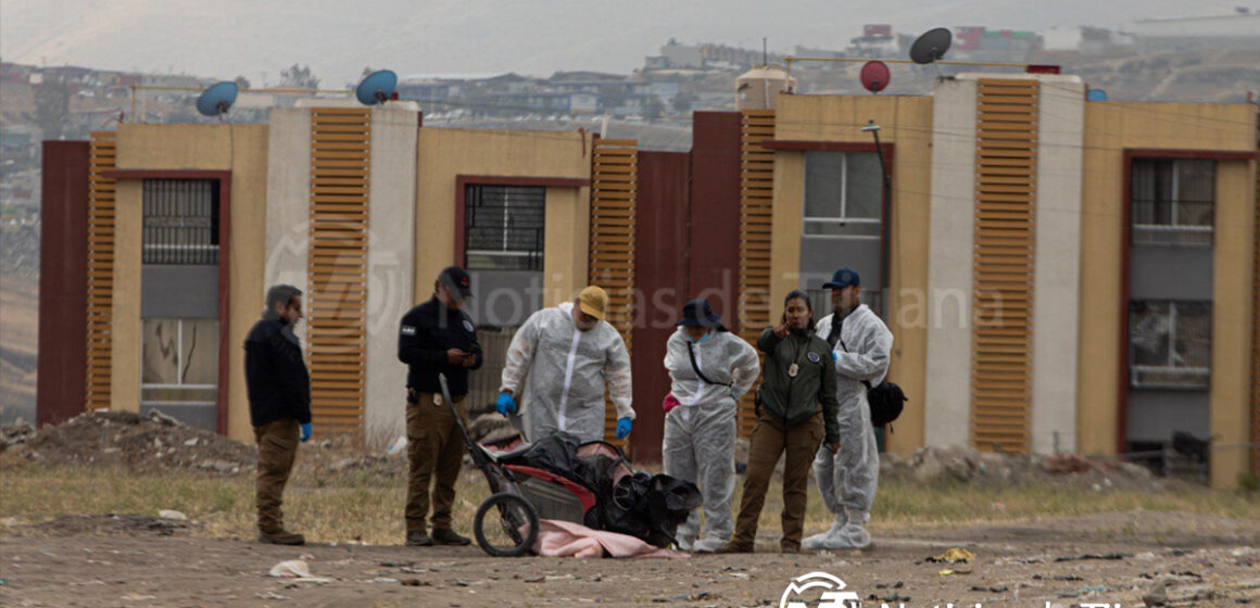 5 Localizan cuerpo sin vida dentro de un carrito para mascotas en Viñedos Casa Blanca