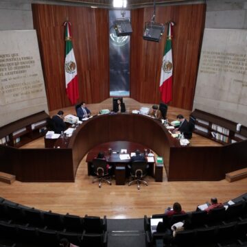 Ciudadanos podrán llevar guías personales, pero Trife prohíbe difusión masiva de “acordeones”