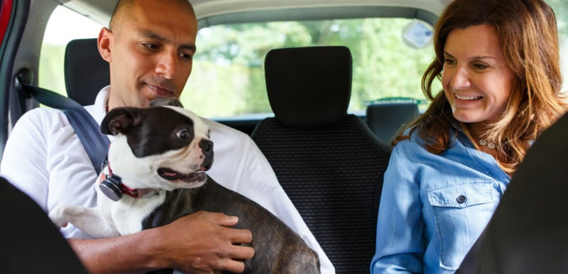 fds Uber Pet: Viaja con tu perro o gato en Tijuana con comodidad y tranquilidad