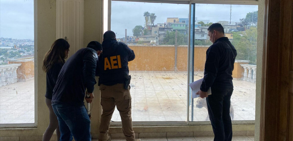 q FGE rescata a 8 caninos víctimas de maltrato animal en la colonia Obrera