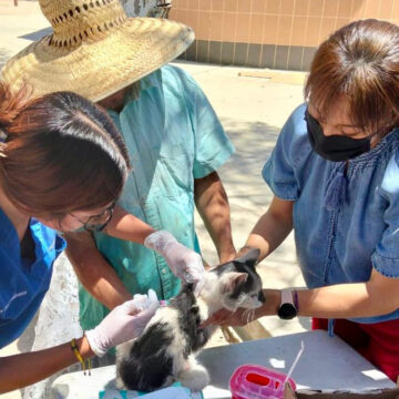Gobierno de Tecate impulsa vacunación antirrábica en zonas rurales