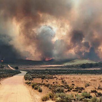 Suman esfuerzos Bomberos de Tijuana en el combate de incendios forestales en Tecate