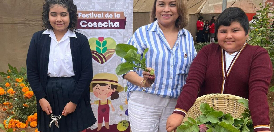 1 Realiza festival de la cosecha el sistema DIF B,C en San Quintín