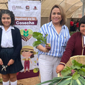 Realiza festival de la cosecha el sistema DIF B,C en San Quintín