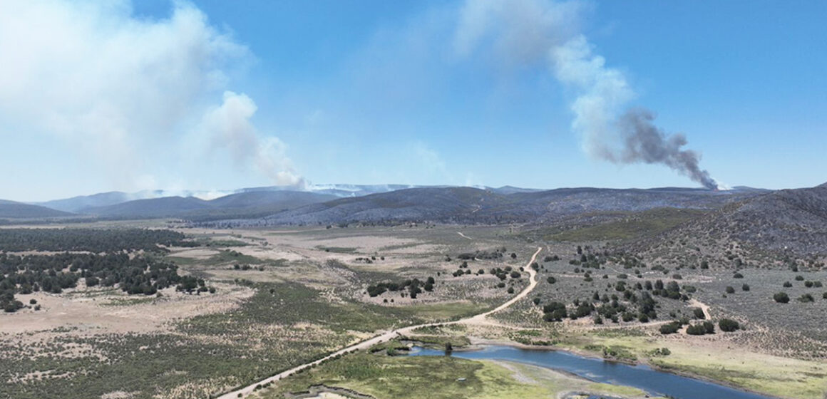 Informan autoridades sobre avance en incendio “Guadalajara 2”