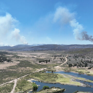 1 Informan autoridades sobre avance en incendio “Guadalajara 2”