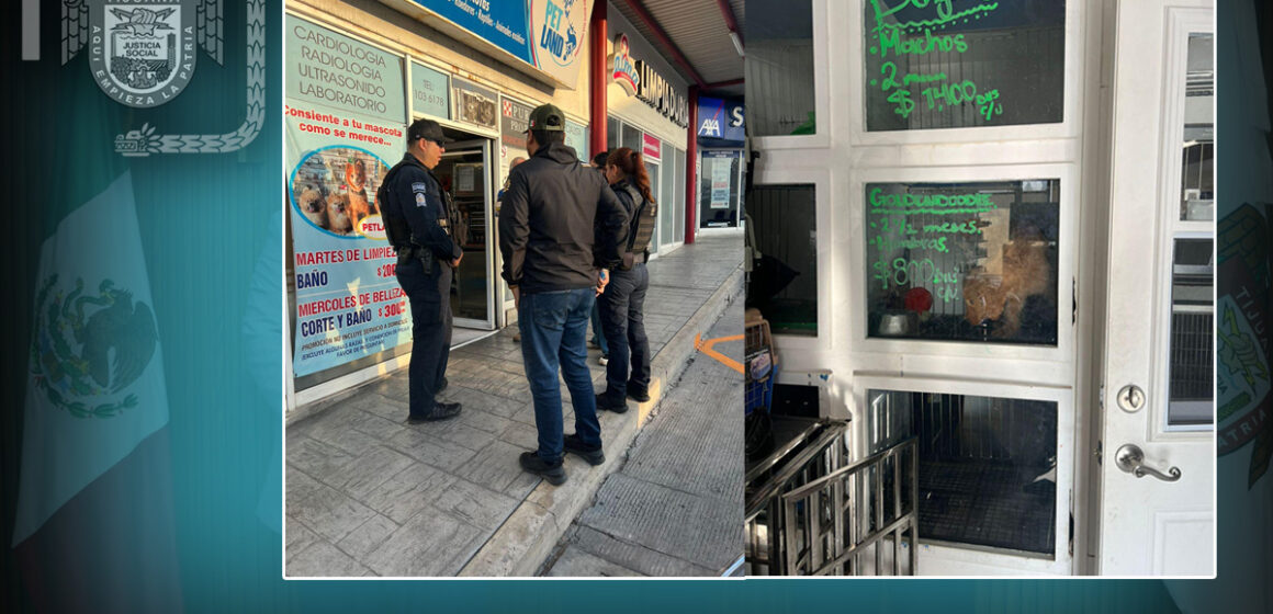 Clausura el XXV Ayuntamiento de Tijuana establecimiento por venta ilegal de animales