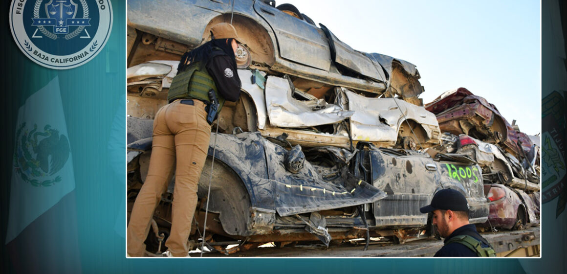 1 FGE combate y reduce el robo de vehículos en Baja California