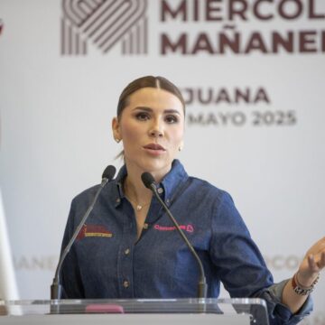 Marina del Pilar respalda renuncia de su esposo Carlos Torres como coordinador de Proyectos Estratégicos