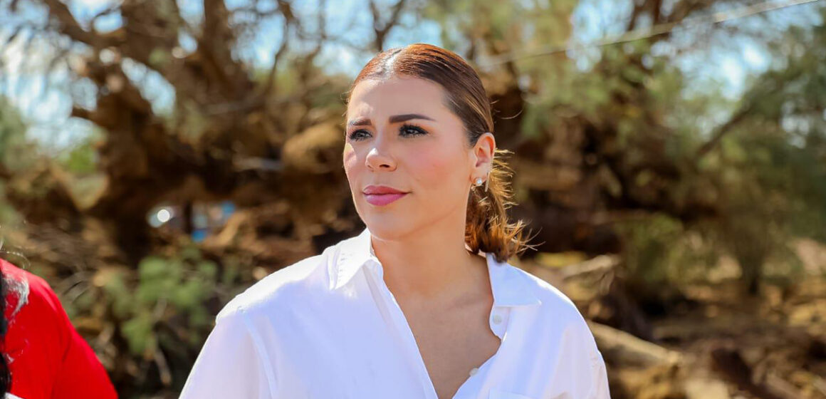 Amplio respaldo a la gobernadora Marina del Pilar Ávila Olmeda por sectores profesionales y empresariales