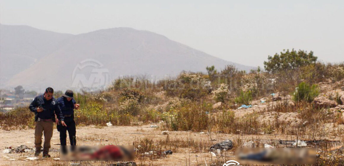 Localizan a pareja sin vida en un baldío del bulevar 2000