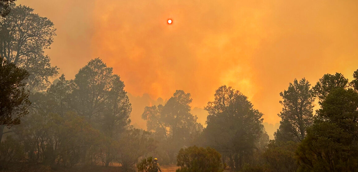 Avanza control del incendio forestal “Guadalajara 2” en Tecate