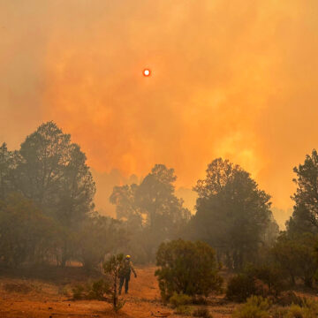 Avanza control del incendio forestal “Guadalajara 2” en Tecate