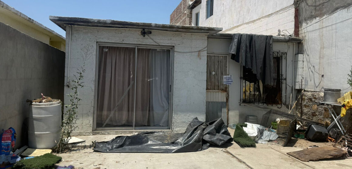 Fiscalía catea domicilio por maltrato animal, rescata a tres caninos