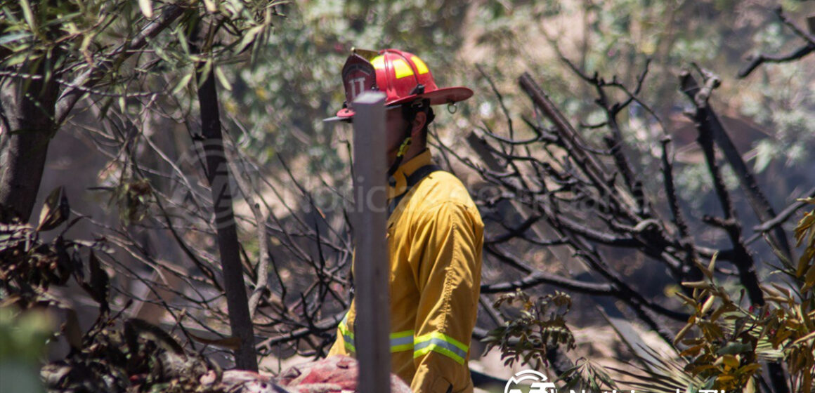 Perrito sufre graves heridas tras quedar atrapado en un incendio