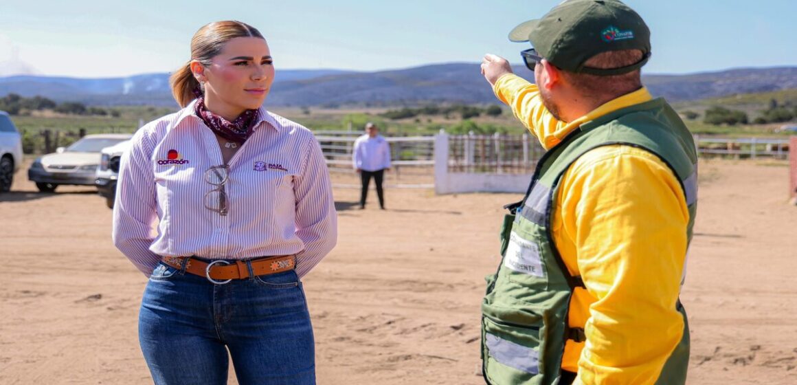 Marina del Pilar agradece apoyo en combate a incendios y confirma que sigue activo el siniestro en la zona Guadalajara de Tecate