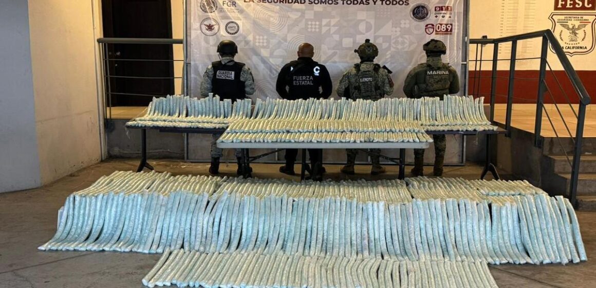 WhatsApp Image 2025-06-06 at 16.57.10 (1) Autoridades asestan fuerte golpe al narcotráfico con aseguramiento de metanfetamina en Tijuana