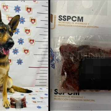 Encuentran gomitas con marihuana en escuela de Tijuana