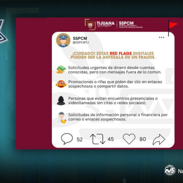 Cómo identificar señales de alerta digitales y evitar fraudes en línea