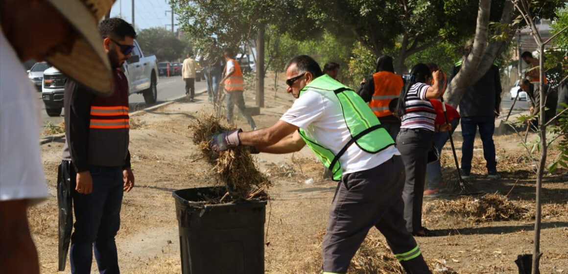 Encabeza Ismael Burgueño Ruiz Macro Jornada de Limpieza en la Zona Este de Tijuana