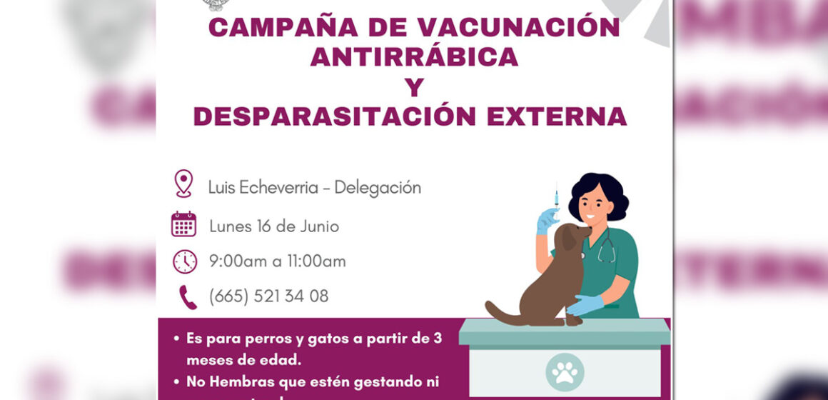 Gobierno de Tecate invita a campaña gratuita de vacunación antirrábica y desparasitación de mascotas