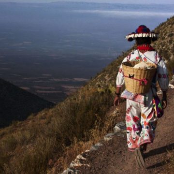 Reconocen en París a la Ruta Wixárika como Patrimonio Mundial de la Unesco
