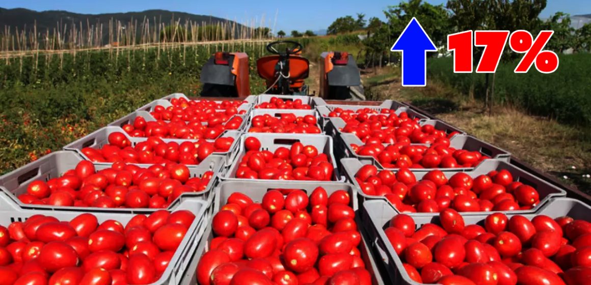 Impone EEUU arancel del 17% al tomate mexicano tras concluir acuerdo bilateral