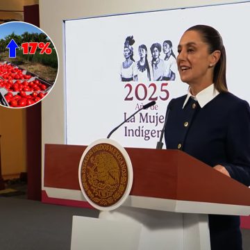 Sheinbaum critica fin del acuerdo del jitomate y prevé impacto en EEUU