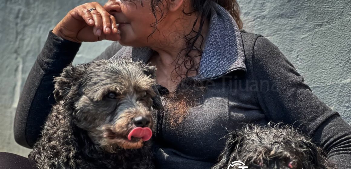 Incendio en Zona Centro deja sin vida a un perrito; 15 personas logran salir a salvo