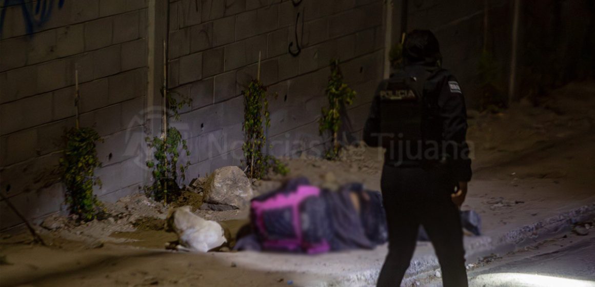 1 Perrito permanece junto a cuerpo de su dueño tras ser ultimado en ataque armado en colonia Los Maestros