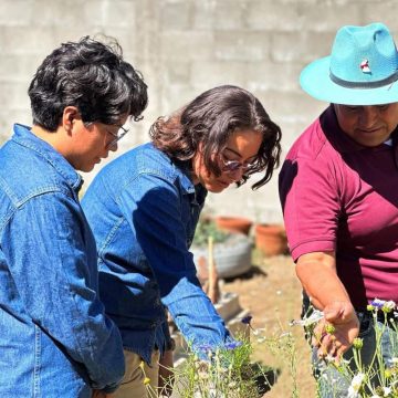 DIF Tecate impulsa la colaboración comunitaria con Tequio del huerto “Abejas en Axión”