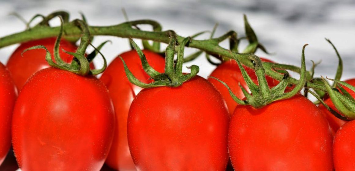 Productores esperan resolución sobre arancel a jitomate mexicano