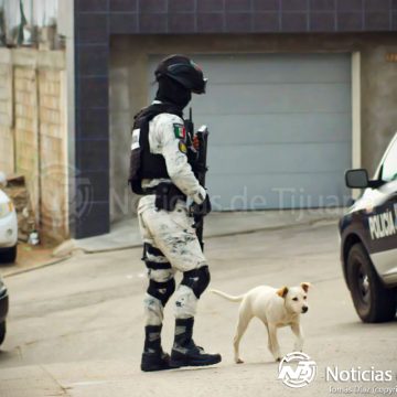 Localizan el cuerpo sin vida de un hombre en col. Alemán