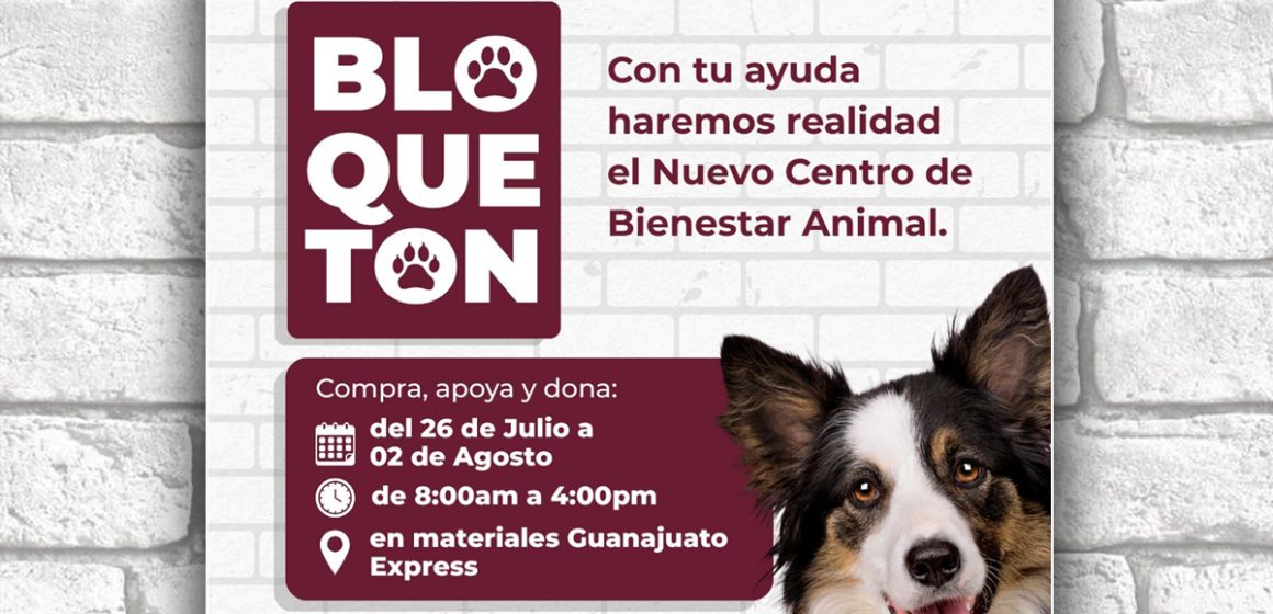 bcf Convocan al “Bloquetón” para construir el nuevo centro de bienestar animal en Tecate