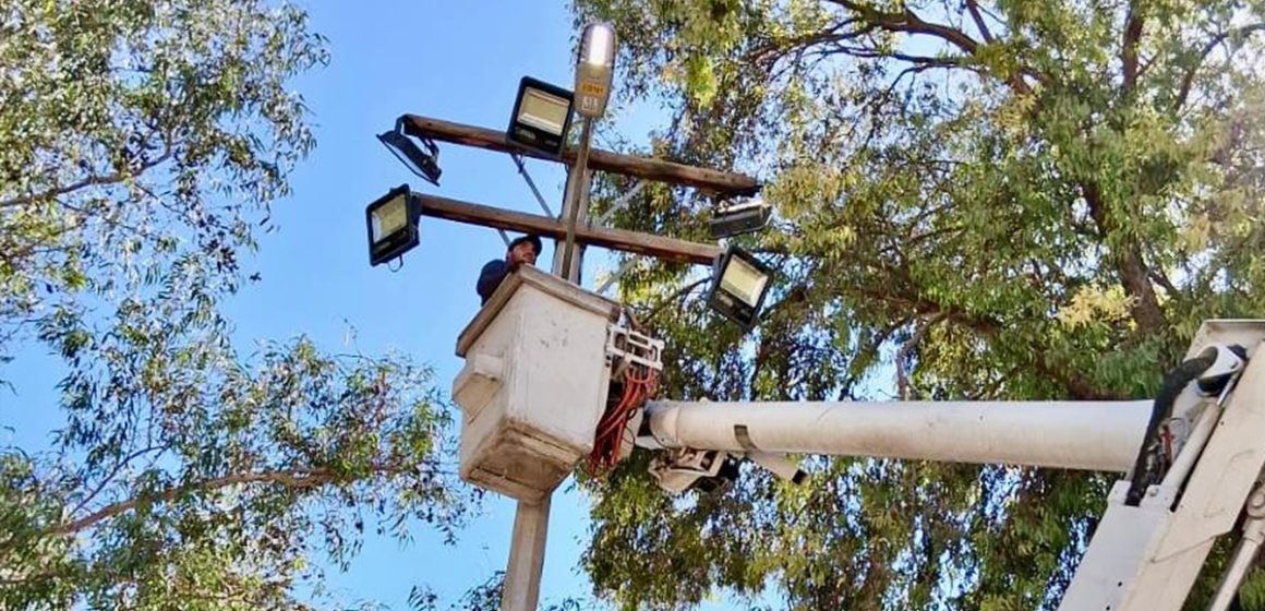 Atienden solicitud de alumbrado público en Valle de las Palmas