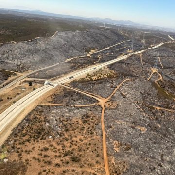 Se mantiene bajo control incendio forestal en carretera libre Tecate–Mexicali