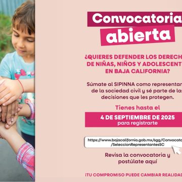 gfd SIPINNA busca representantes de la sociedad civil para proteger derechos de niñas, niños y adolescentes.
