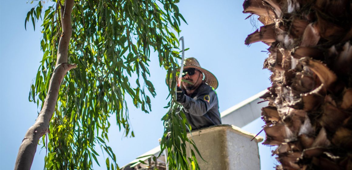 vcx Fortalecen acciones con el programa ‘Tijuana: Ciudad Limpia’ en beneficio de más de 15 mil tijuanenses