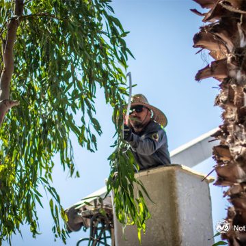 Fortalecen acciones con el programa ‘Tijuana: Ciudad Limpia’ en beneficio de más de 15 mil tijuanenses